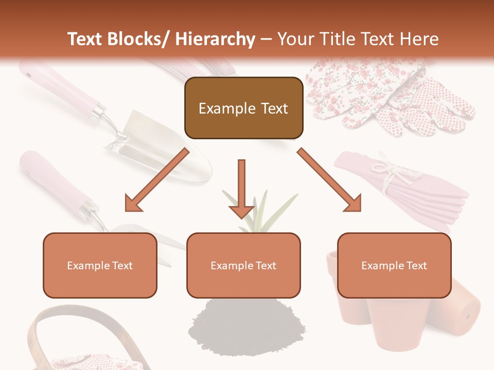 Trug Sticks Ladies PowerPoint Template