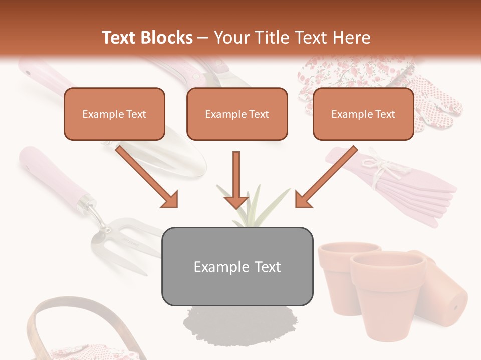 Trug Sticks Ladies PowerPoint Template