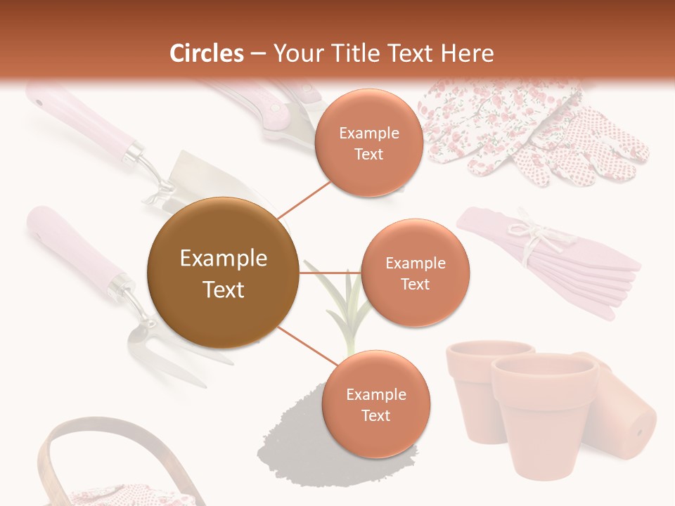 Trug Sticks Ladies PowerPoint Template