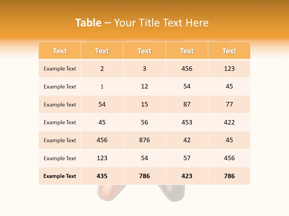 Boot Fashion Shiny PowerPoint Template