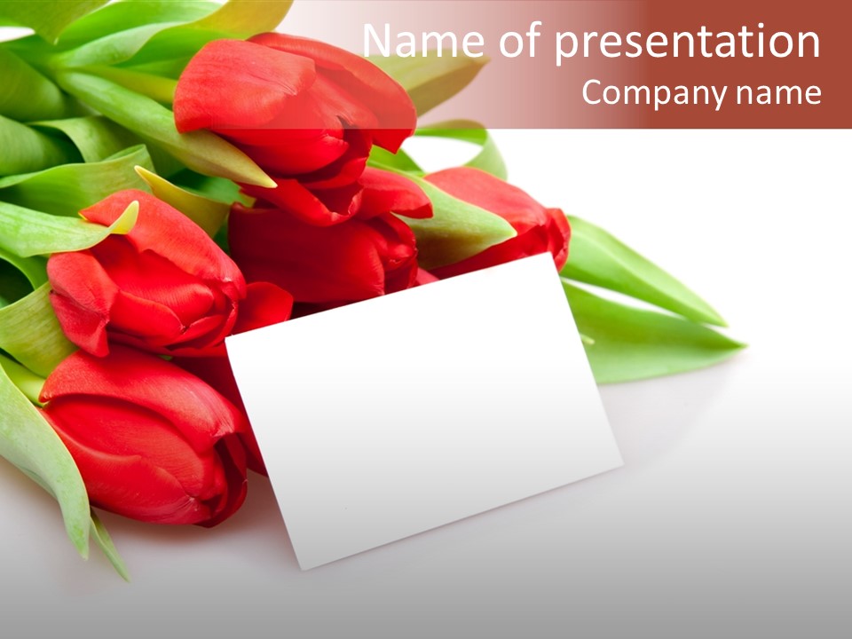 A Bunch Of Red Tulips With A White Card PowerPoint Template