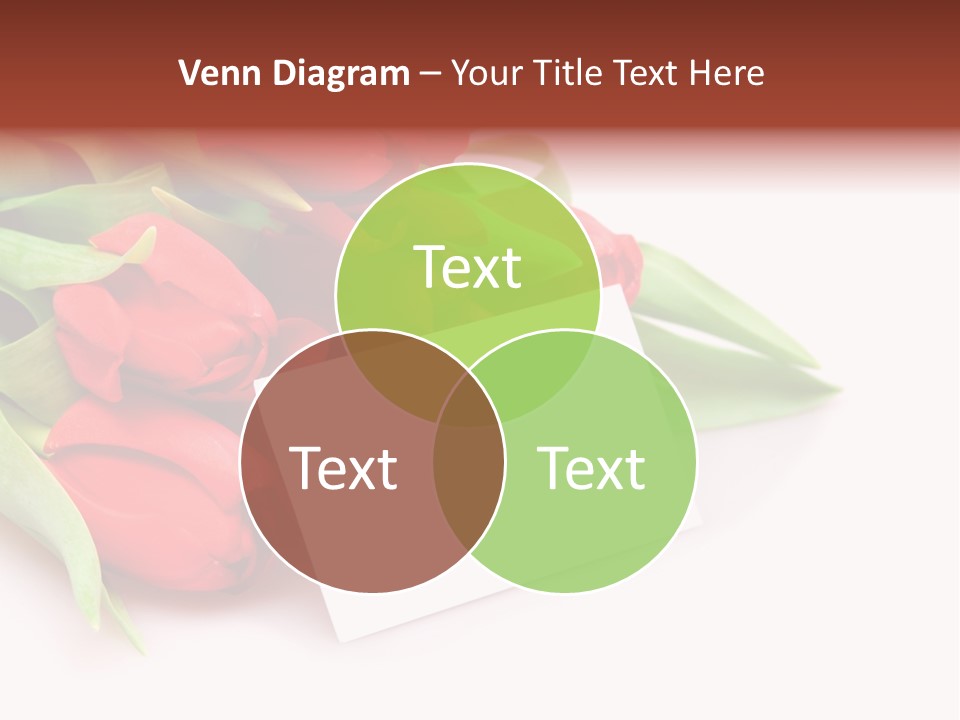 A Bunch Of Red Tulips With A White Card PowerPoint Template