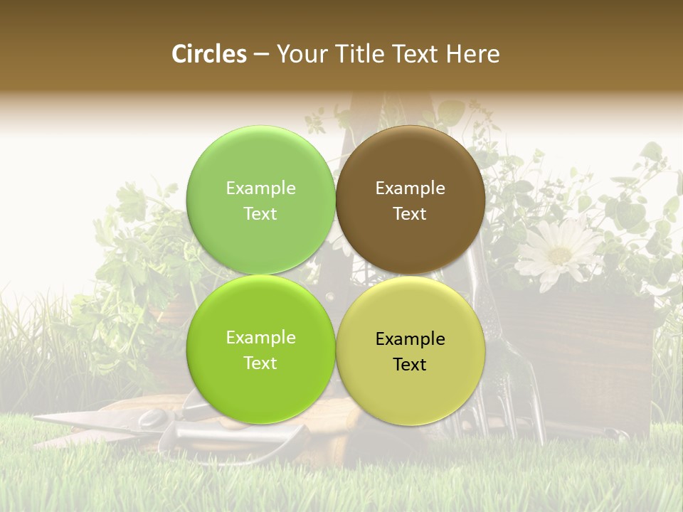 New Grass Spring PowerPoint Template