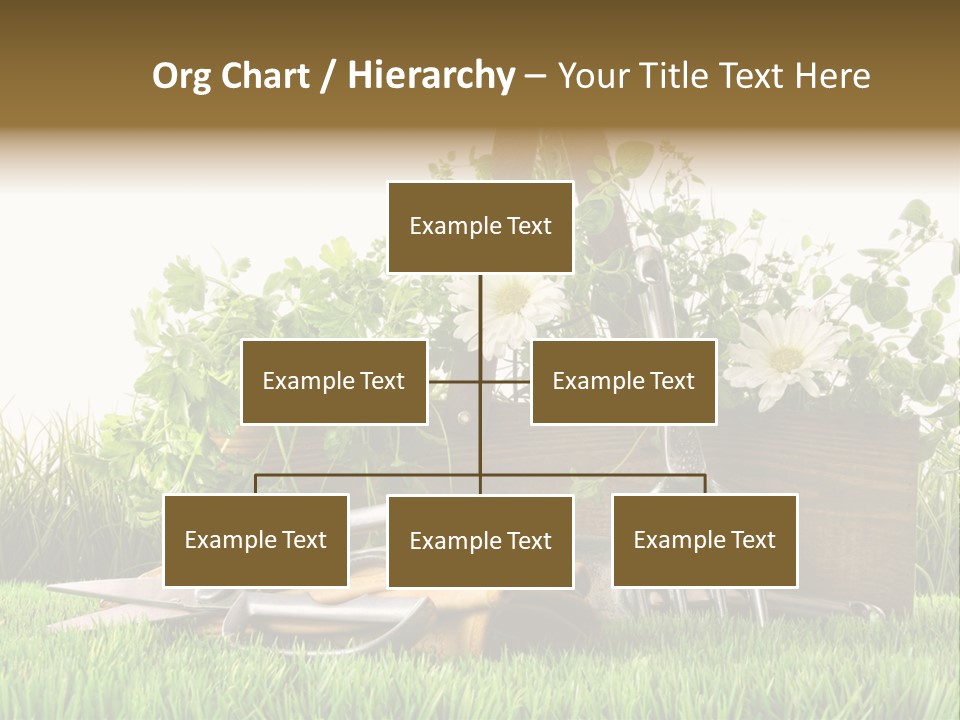 New Grass Spring PowerPoint Template