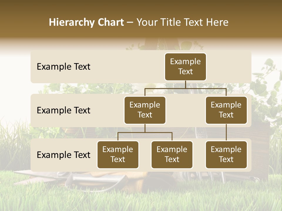 New Grass Spring PowerPoint Template
