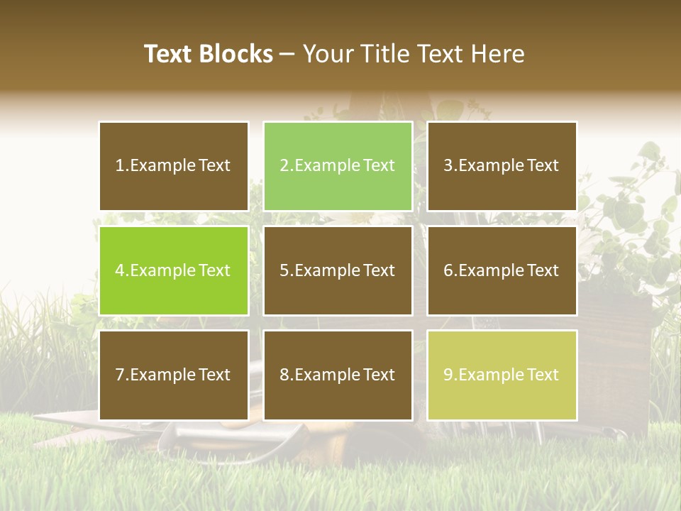 New Grass Spring PowerPoint Template