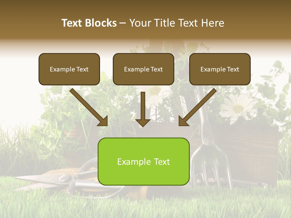 New Grass Spring PowerPoint Template