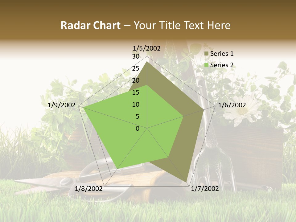 New Grass Spring PowerPoint Template
