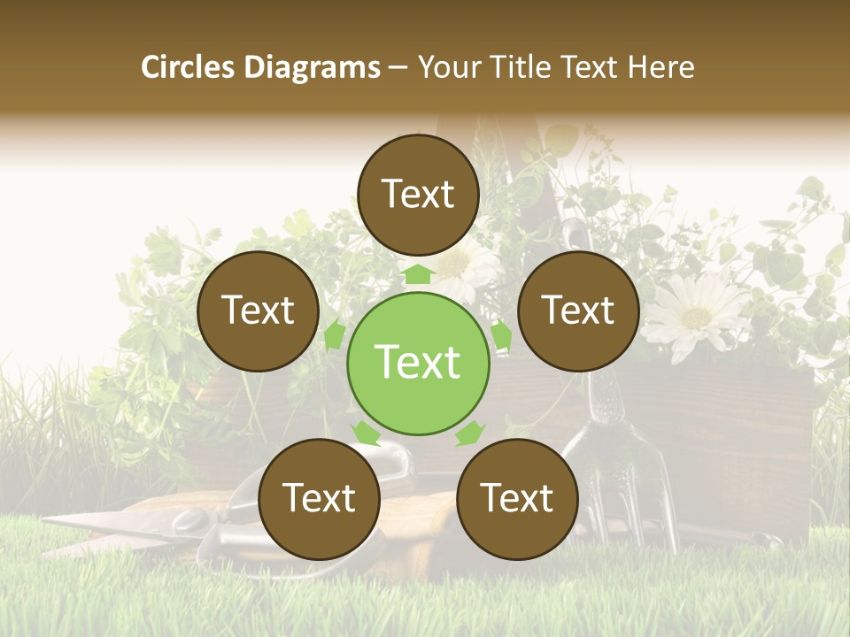 New Grass Spring PowerPoint Template