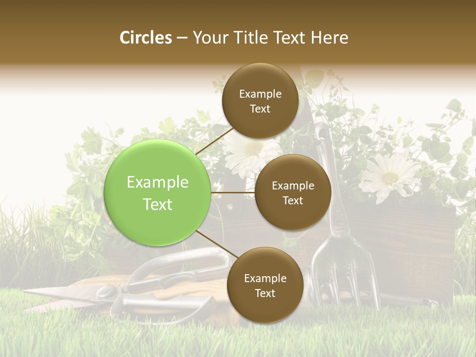 New Grass Spring PowerPoint Template