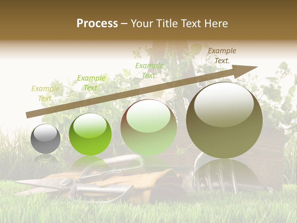 New Grass Spring PowerPoint Template