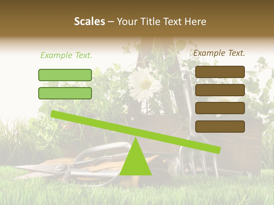 New Grass Spring PowerPoint Template