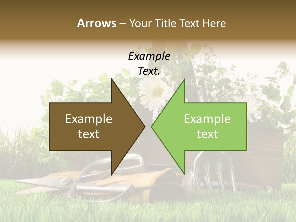 New Grass Spring PowerPoint Template