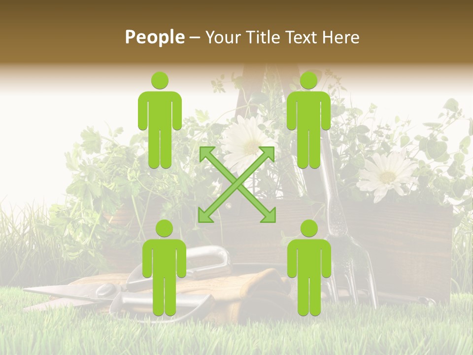 New Grass Spring PowerPoint Template