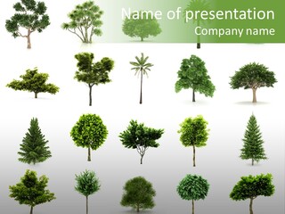 Plant Countryside Summer PowerPoint Template