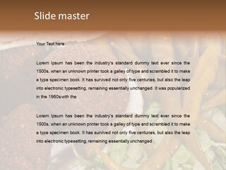 Arab Turkey Bakery PowerPoint Template
