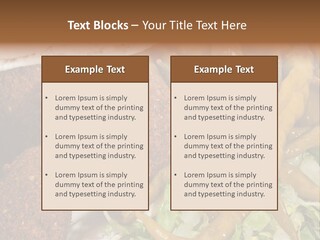 Arab Turkey Bakery PowerPoint Template