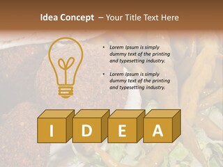 Arab Turkey Bakery PowerPoint Template