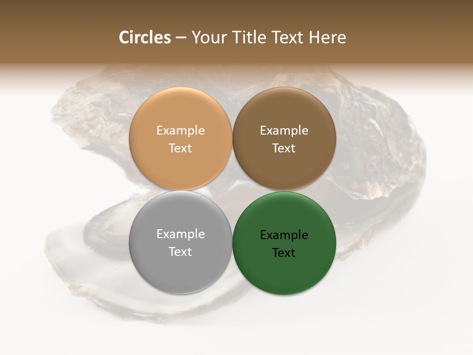 Tasty Jewelry Crustacean PowerPoint Template