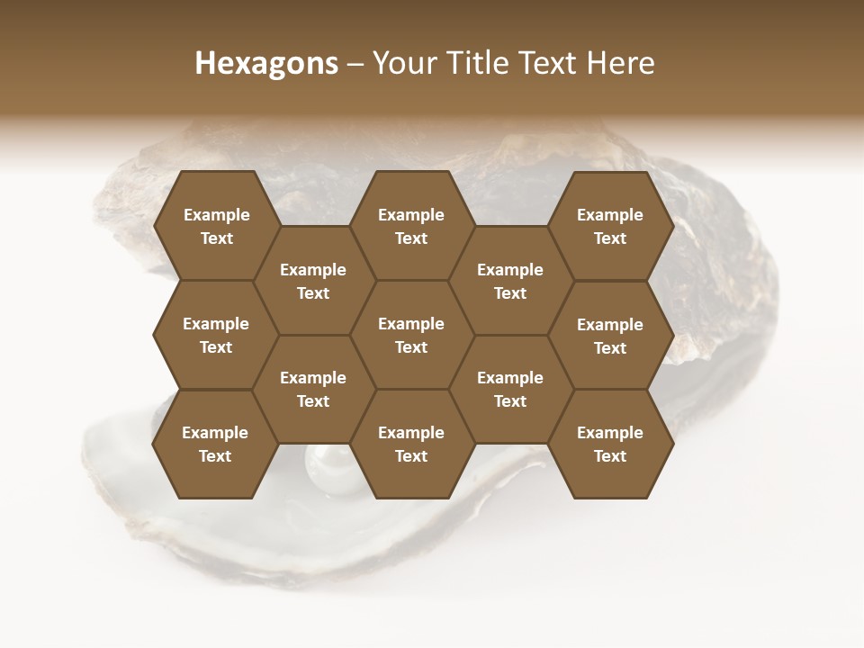 Tasty Jewelry Crustacean PowerPoint Template