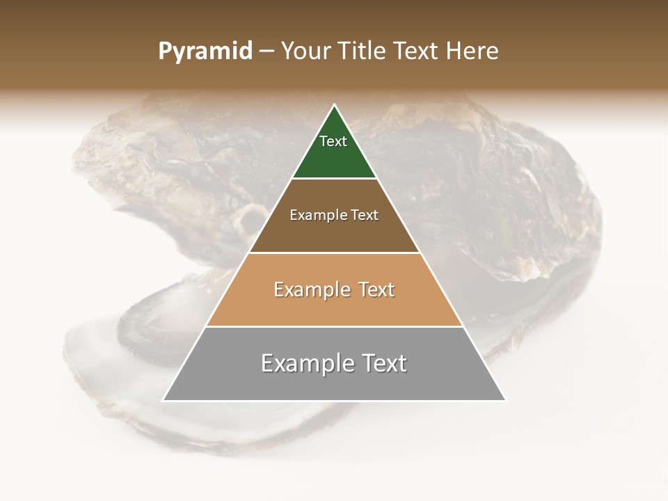 Tasty Jewelry Crustacean PowerPoint Template