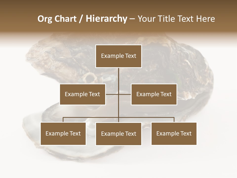 Tasty Jewelry Crustacean PowerPoint Template