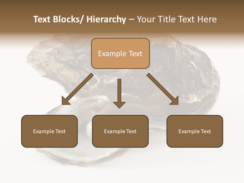 Tasty Jewelry Crustacean PowerPoint Template