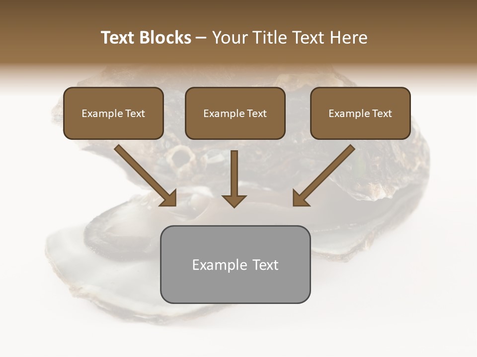 Tasty Jewelry Crustacean PowerPoint Template