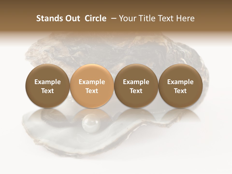 Tasty Jewelry Crustacean PowerPoint Template