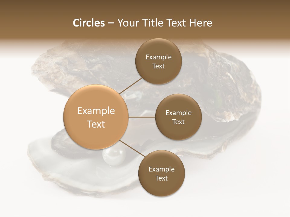 Tasty Jewelry Crustacean PowerPoint Template