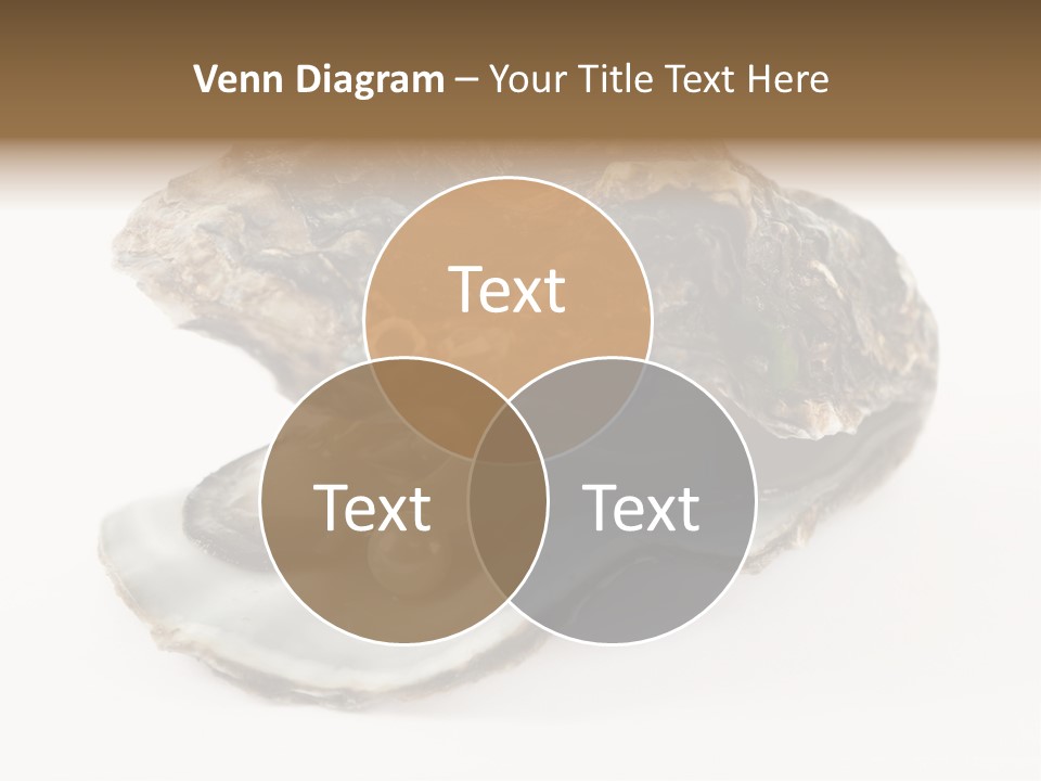 Tasty Jewelry Crustacean PowerPoint Template