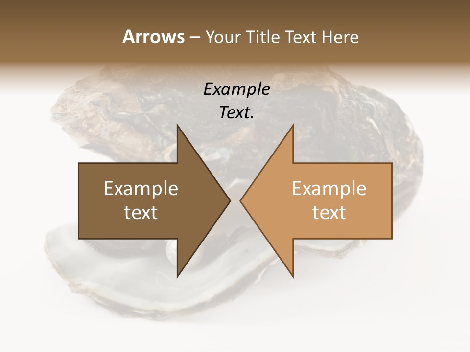 Tasty Jewelry Crustacean PowerPoint Template