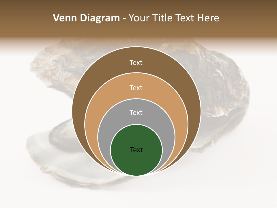 Tasty Jewelry Crustacean PowerPoint Template