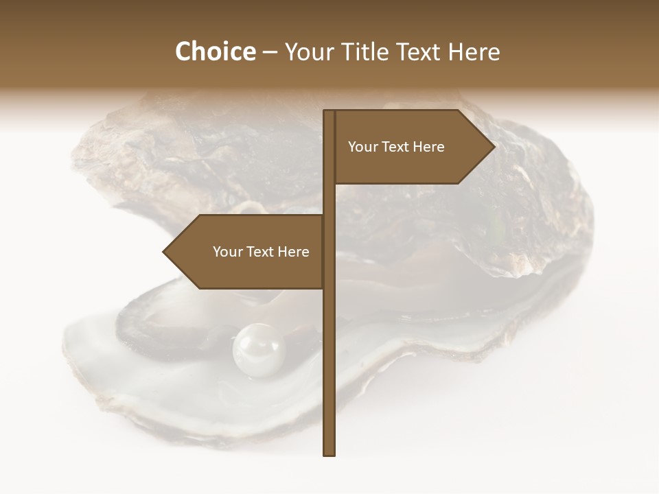 Tasty Jewelry Crustacean PowerPoint Template