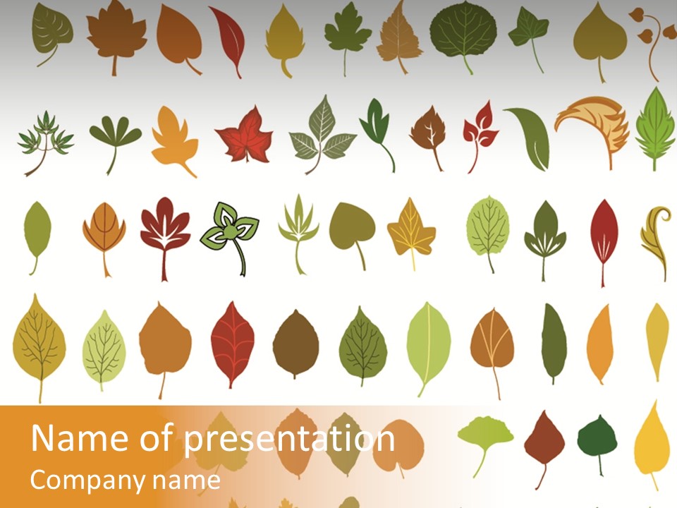 Beech Illustration Ivy PowerPoint Template