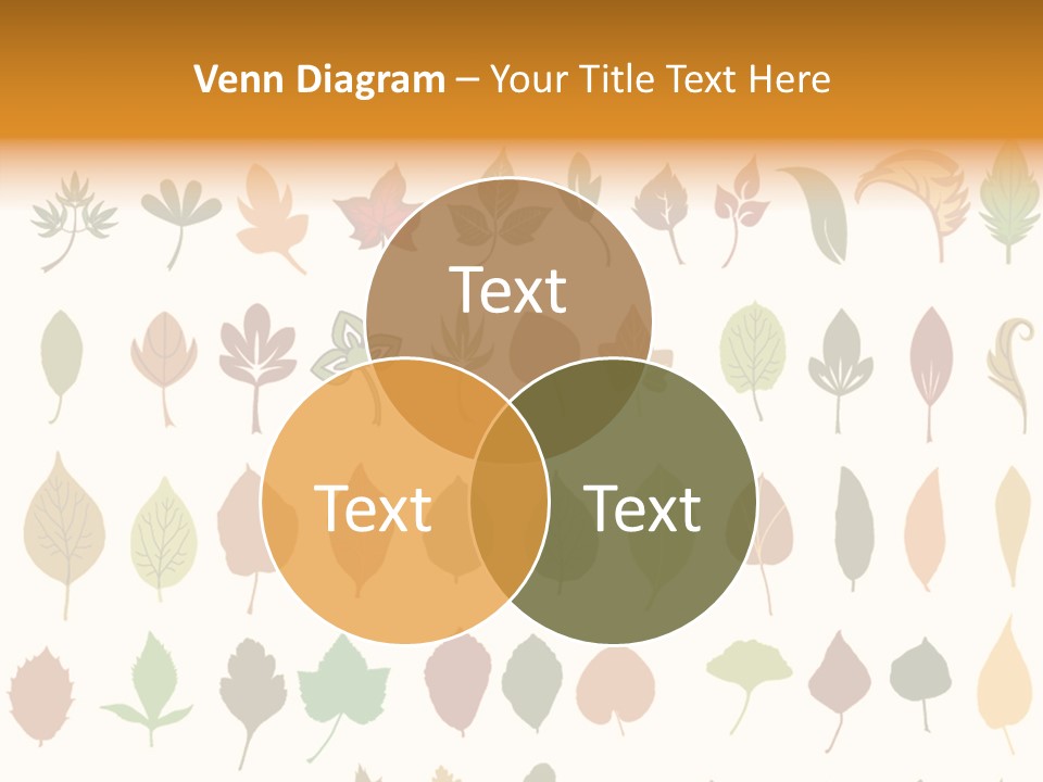 Beech Illustration Ivy PowerPoint Template