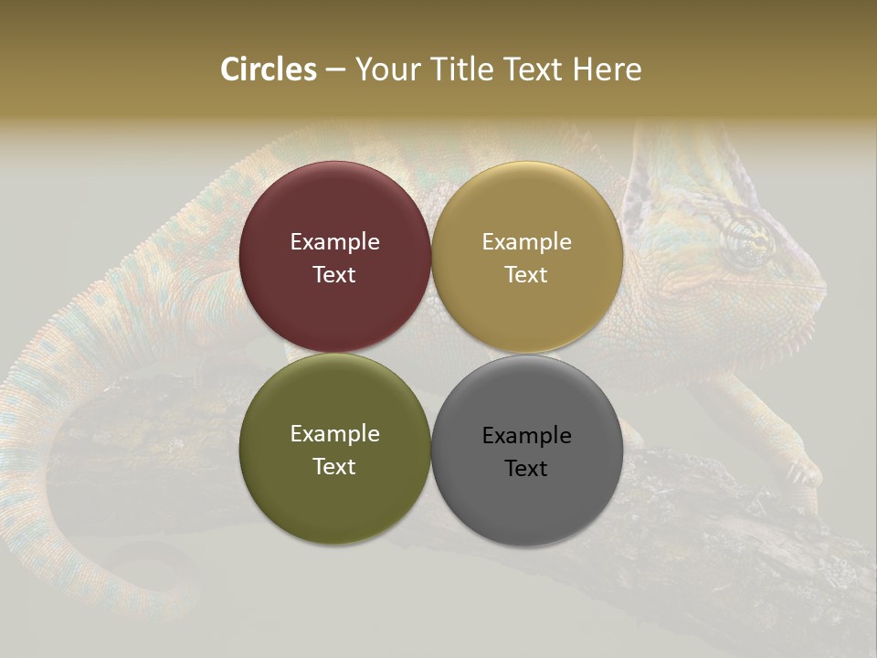 Walking Vertebrate Horizontal PowerPoint Template