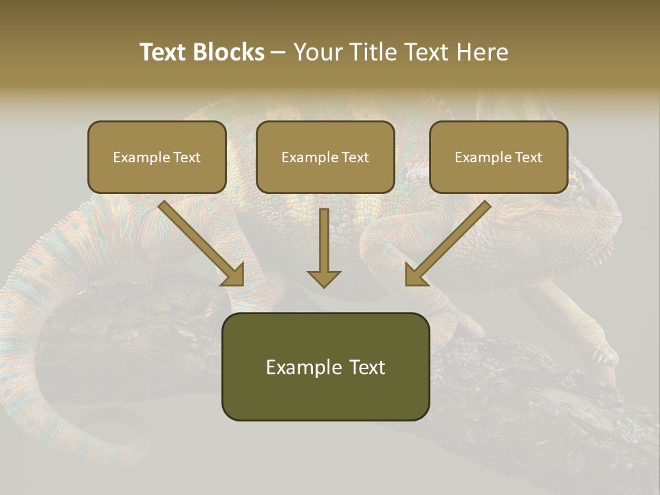 Walking Vertebrate Horizontal PowerPoint Template