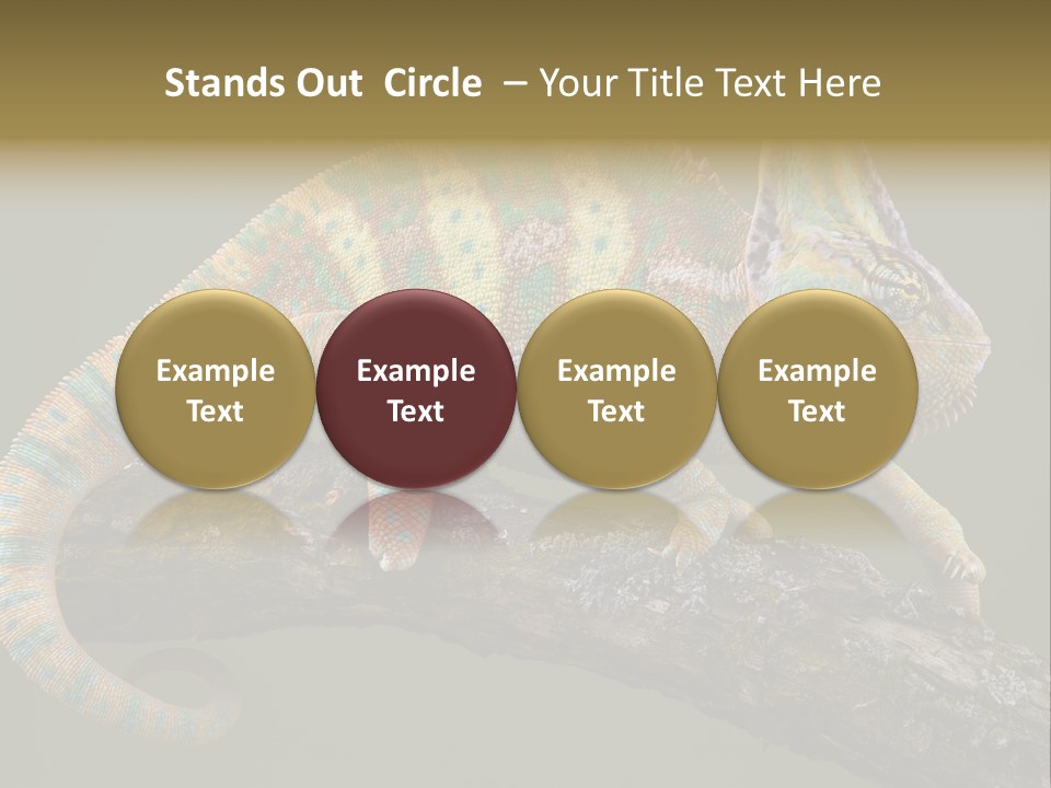 Walking Vertebrate Horizontal PowerPoint Template