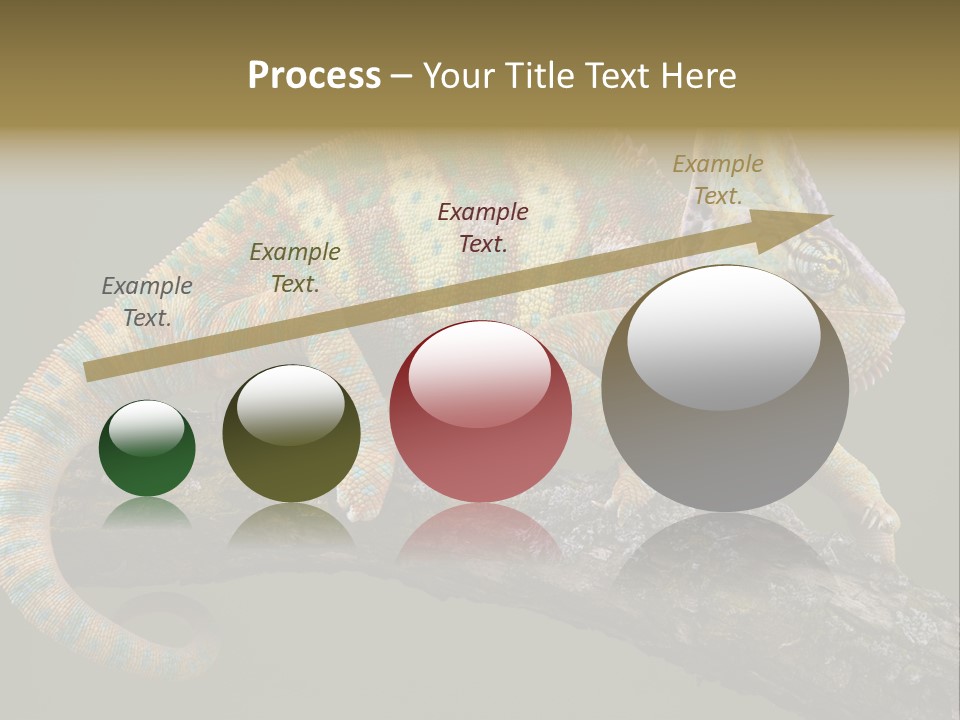 Walking Vertebrate Horizontal PowerPoint Template