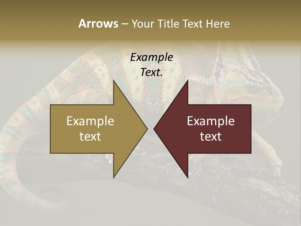 Walking Vertebrate Horizontal PowerPoint Template