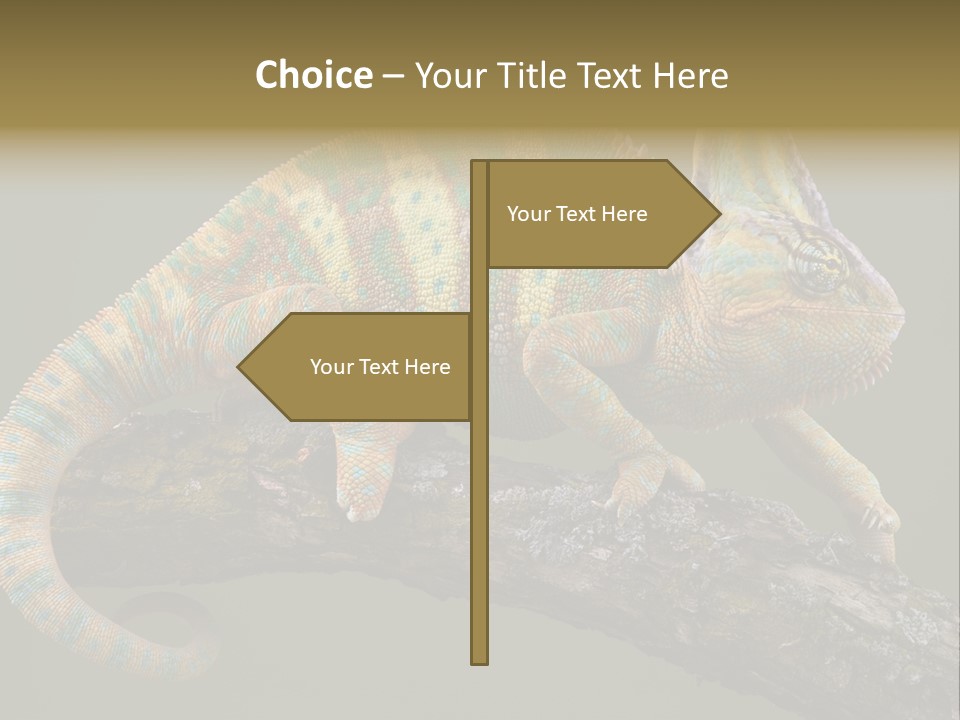Walking Vertebrate Horizontal PowerPoint Template