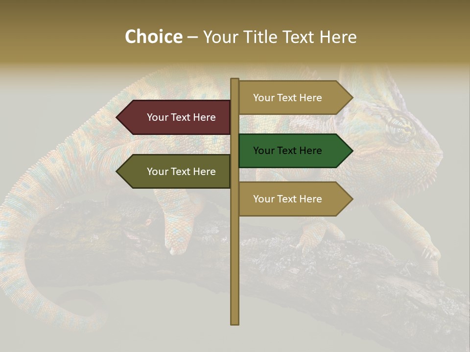 Walking Vertebrate Horizontal PowerPoint Template