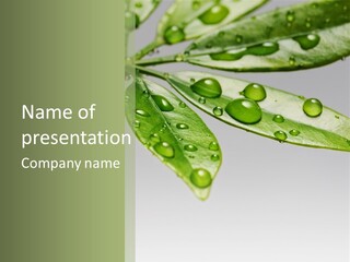 Rain Herb Growth PowerPoint Template