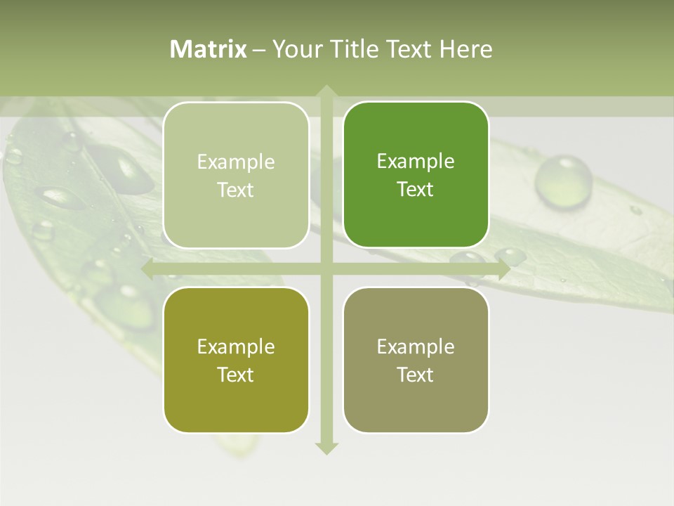 Rain Herb Growth PowerPoint Template