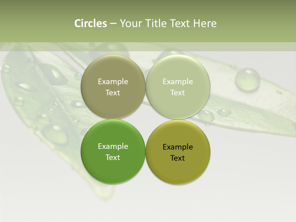 Rain Herb Growth PowerPoint Template