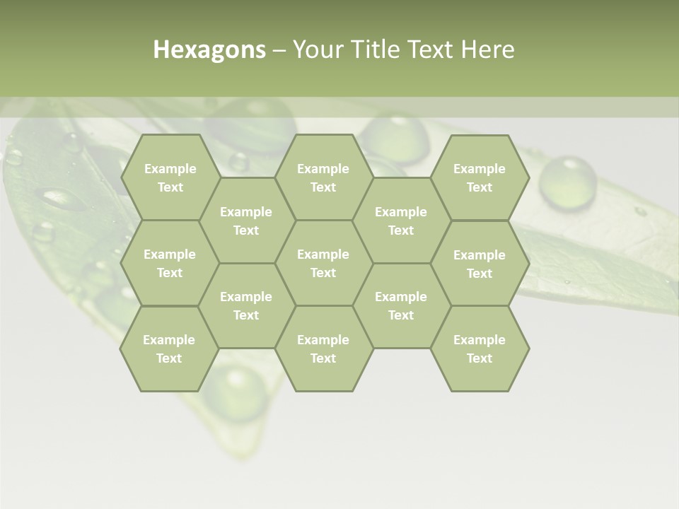 Rain Herb Growth PowerPoint Template