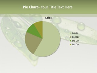 Rain Herb Growth PowerPoint Template