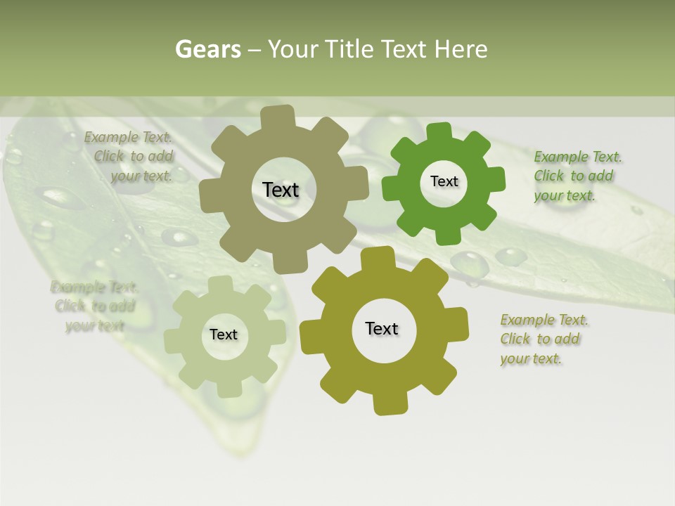 Rain Herb Growth PowerPoint Template