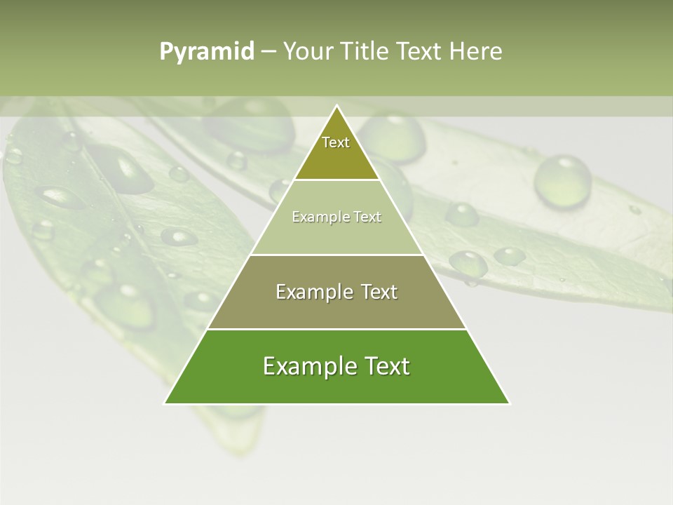 Rain Herb Growth PowerPoint Template
